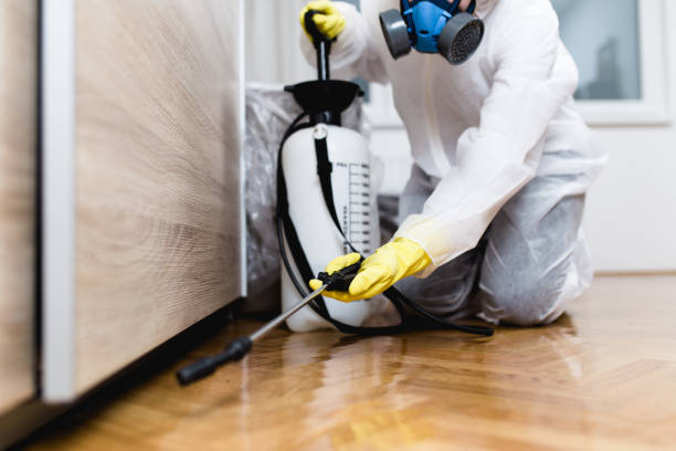 Trusted Fort Bliss, TX Pest Control Experts