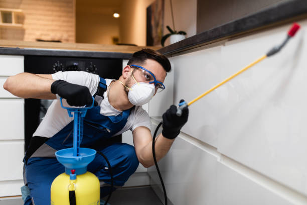 Best Flea Control Services  in Fort Bliss, TX