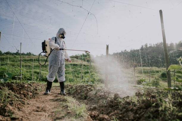 Best Best Pest Control Companies  in Fort Bliss, TX