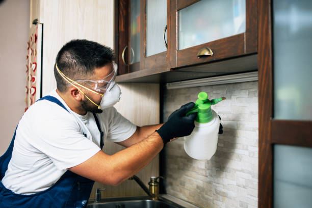 Best Flea Control Services  in Fort Bliss, TX