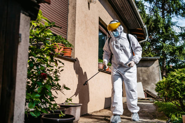 Best Mosquito Control Services  in Fort Bliss, TX