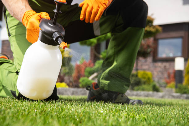 Best Pest Control Treatment  in Fort Bliss, TX