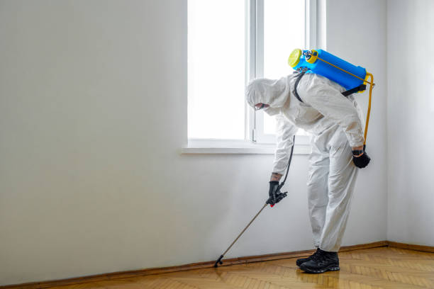 Best Termite Control Services  in Fort Bliss, TX