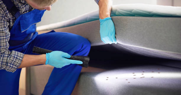 Pest Prevention Services in Fort Bliss, TX