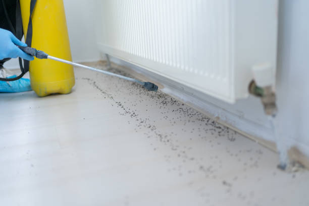 Best Commercial Pest Control Services  in Fort Bliss, TX