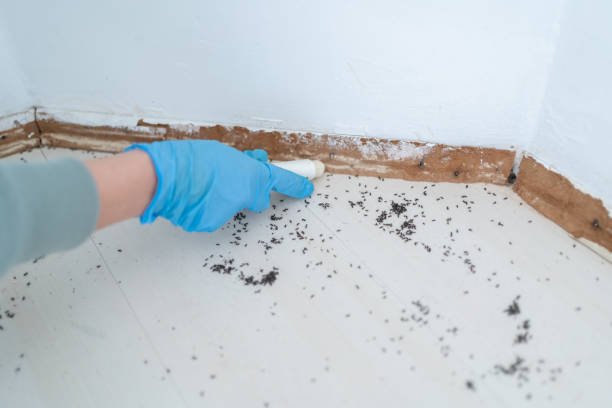 Best Pest Prevention Services  in Fort Bliss, TX