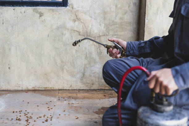 Best Affordable Pest Control Services  in Fort Bliss, TX